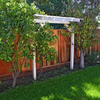 A well-maintained garden with a wooden fence, arbor, and lush green grass.