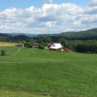 A scenic view of a countryside farm surrounded by lush green fields and rolling hills under a partly cloudy sky.