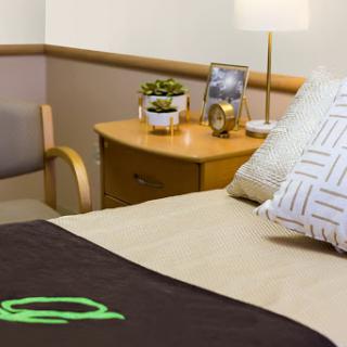 A cozy hospital room featuring a neatly made bed with decorative pillows, a bedside lamp, and a small plant on the nightstand.