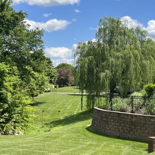 A serene garden landscape with lush greenery and a weeping willow tree under a clear blue sky.
