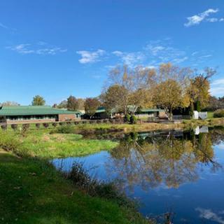 A serene landscape featuring a calm body of water reflecting the blue sky and surrounding nature.