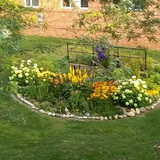 A vibrant circular flower garden featuring a mix of yellow and white blooms surrounded by lush green grass.