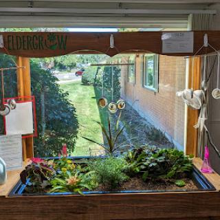 An indoor garden thriving by a window, showcasing various plants and a serene view outside.