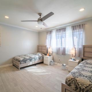 A modern bedroom with two twin beds, ample natural light, and stylish decor.
