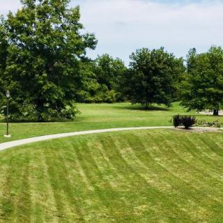 A serene park with a well-maintained grassy area and pathways surrounded by lush trees.