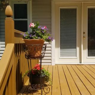 A sunny deck with planters filled with colorful flowers.