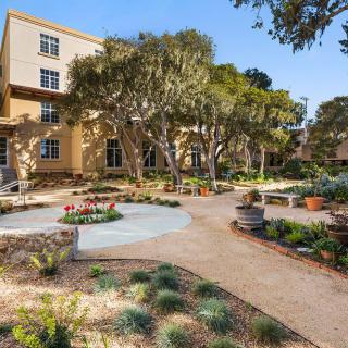 A well-maintained garden area with trees and pathways surrounding a multi-story building.