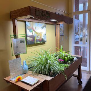 A cozy indoor garden setup featuring various plants under a wooden structure with lights, accompanied by a piece of artwork on the wall.
