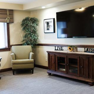 A cozy living room with modern decor, featuring an armchair, a large flat-screen TV, and indoor plants.