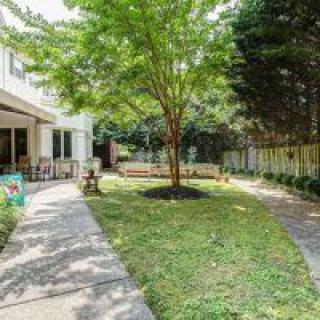 A peaceful backyard with a tree, grassy area, patio, and outdoor furniture.