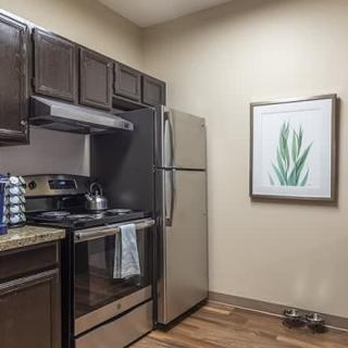 A modern kitchen with stainless steel appliances and dark wood cabinets, featuring a framed plant artwork on the wall.