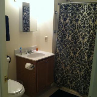 A small bathroom with a patterned shower curtain, sink, and toilet.