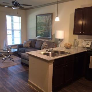 A cozy apartment living room with an open kitchen and a comfortable seating area.