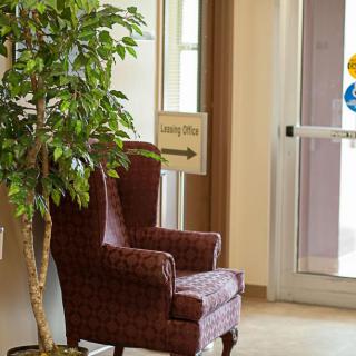 A cozy lobby with a patterned armchair next to a leafy potted plant near a window and glass door.
