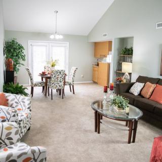 A cozy living and dining area featuring comfortable seating, a glass coffee table, vibrant cushions, and natural lighting.