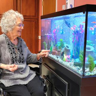 An elderly woman enjoys observing the colorful fish in an aquarium while seated in her wheelchair.