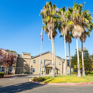 A sunny day view of a building with palm trees lining the driveway.