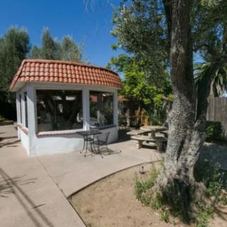 A sunny outdoor garden featuring a small gazebo, surrounded by trees and a patio area.