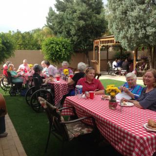 A group of seniors enjoying a picnic in a garden setting with checkered tablecloths and sunny weather.