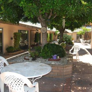 A serene courtyard with trees and outdoor seating, inviting relaxation in a sunlit environment.