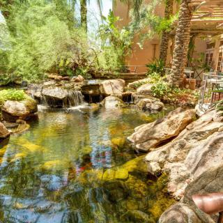 A serene garden pond surrounded by rocks and lush greenery.