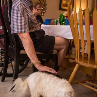 A person enjoying a moment with a small dog while seated at a dining table.