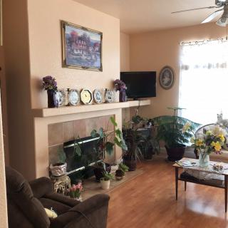A cozy living room with a fireplace, plants, and various decorations.