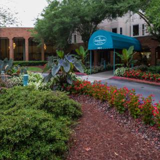 A hotel entrance with lush landscaping and a blue awning.