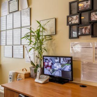 A tidy office desk with a computer monitor, certificates on the wall, and decorative plants.