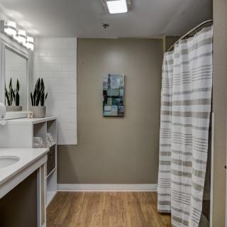 A modern bathroom featuring a sink with a mirror, decorated with plants, and a shower enclosed by a striped curtain.