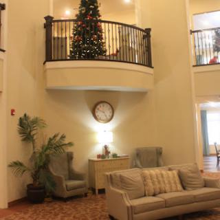 A cozy lobby featuring a decorated Christmas tree, comfortable seating, and decorative plants.