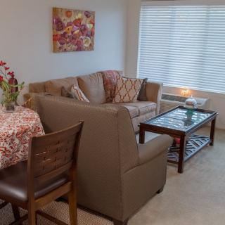 Cozy living room with a sofa, coffee table, and decorative elements.
