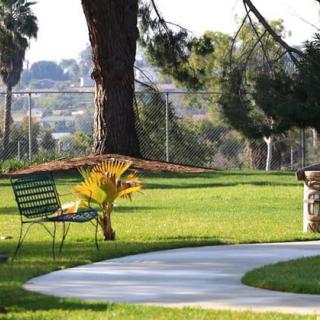 A serene park setting with a bench and a winding pathway surrounded by trees and greenery.