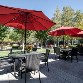 A sunny patio with tables and chairs shaded by vibrant red umbrellas, surrounded by a lush garden.