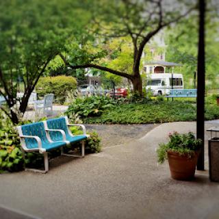 A peaceful urban park with benches surrounded by lush greenery.