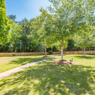 A sunny day in a park with lush green grass, trees, and a winding pathway.