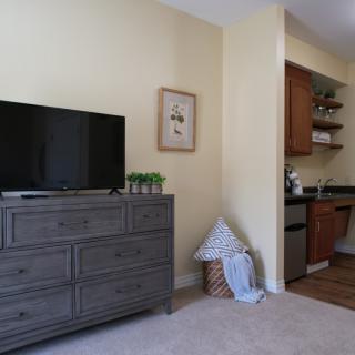 A minimalist bedroom with a dresser, TV, and decorative elements.