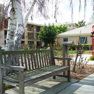 A wooden bench situated in a peaceful outdoor garden area with buildings and trees nearby.