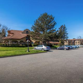 A sunny day at a residential building with a parking lot and cars.