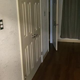 A hallway in a home with wooden floors and closed doors.