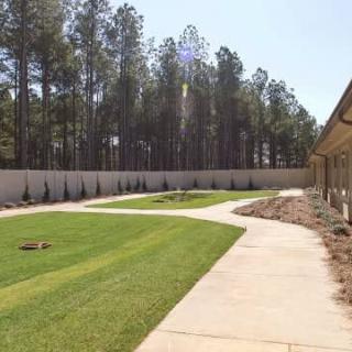 A neatly landscaped backyard with a pathway, green grass, and tall trees in the background.