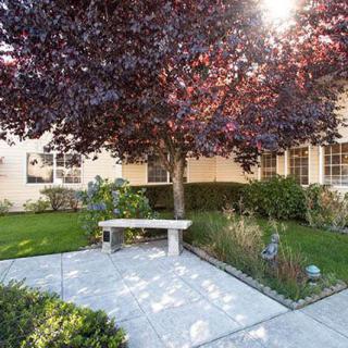 A peaceful garden setting with a stone bench under a tree, surrounded by greenery and bathed in sunlight.