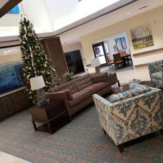 A cozy lobby space featuring comfortable seating and a festive Christmas tree.