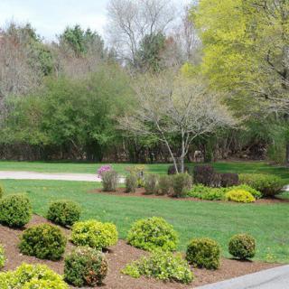 A well-maintained garden with lush grass, neatly trimmed shrubs, and trees in the background.
