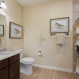 A well-decorated bathroom featuring a toilet, sink, and mirror with framed art on the walls.