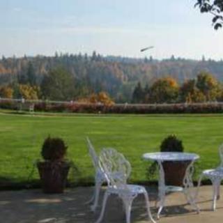 A scenic outdoor garden with a lawn, white chairs and a table, surrounded by potted plants and trees.