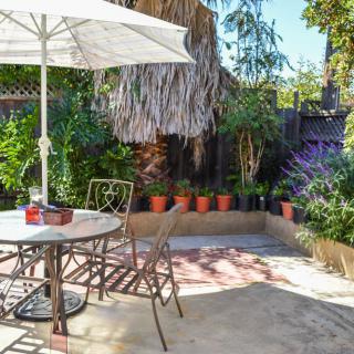 A sunny patio garden with a table and umbrella surrounded by lush plants.