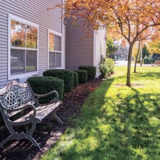 A peaceful outdoor scene with a bench beside a building, surrounded by trees and shrubs in autumn sunlight.