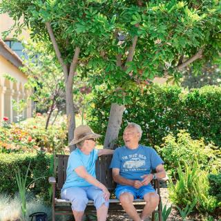 An elderly couple sits on a bench in a garden, enjoying a sunny day and having a conversation.