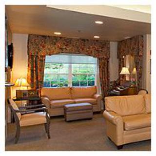 A cozy living room with sofas, a lamp, and a window with floral curtains.